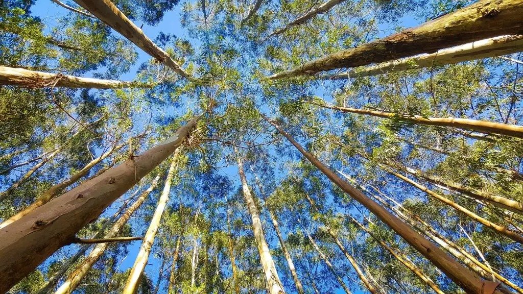 Sustainability